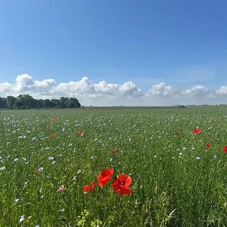 L'échappée Normande Appartamento