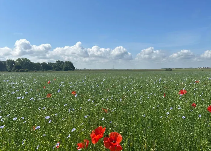 L'échappée Normande Appartement